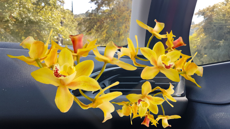 climatisation dans la voiture avec des fleurs jaunes animées qui en sortent